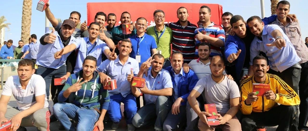 “善用资源日”境外预热 | 巨石埃及公司“云开放” ，，，，，，带你看“一带一起”璀璨明珠