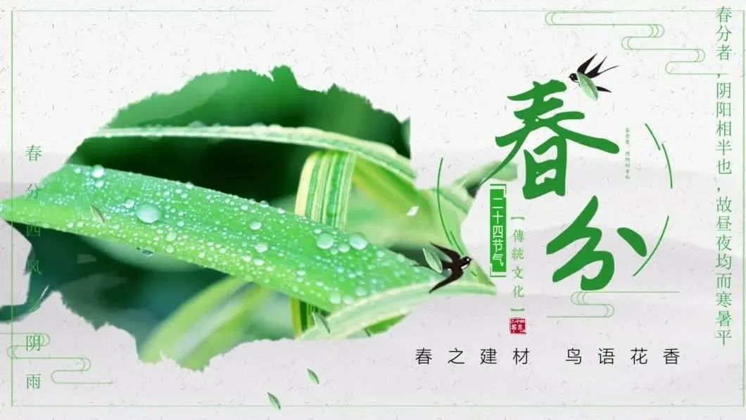 今日春分 | 春之建材，，，，，莺啼燕语