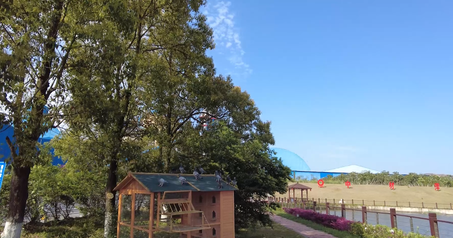 春来好时光，，，，，花园工厂生气勃勃